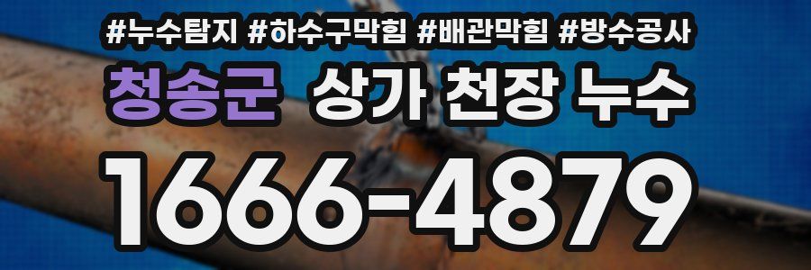 청송군 상가 천장 누수