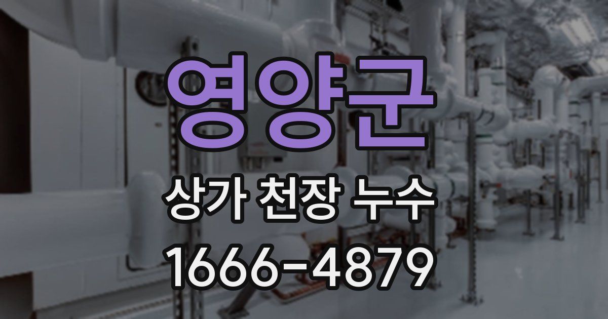 영양군 상가 천장 누수