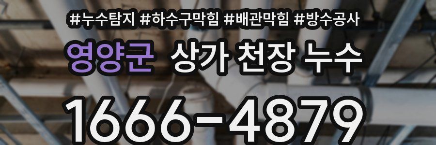 영양군 상가 천장 누수