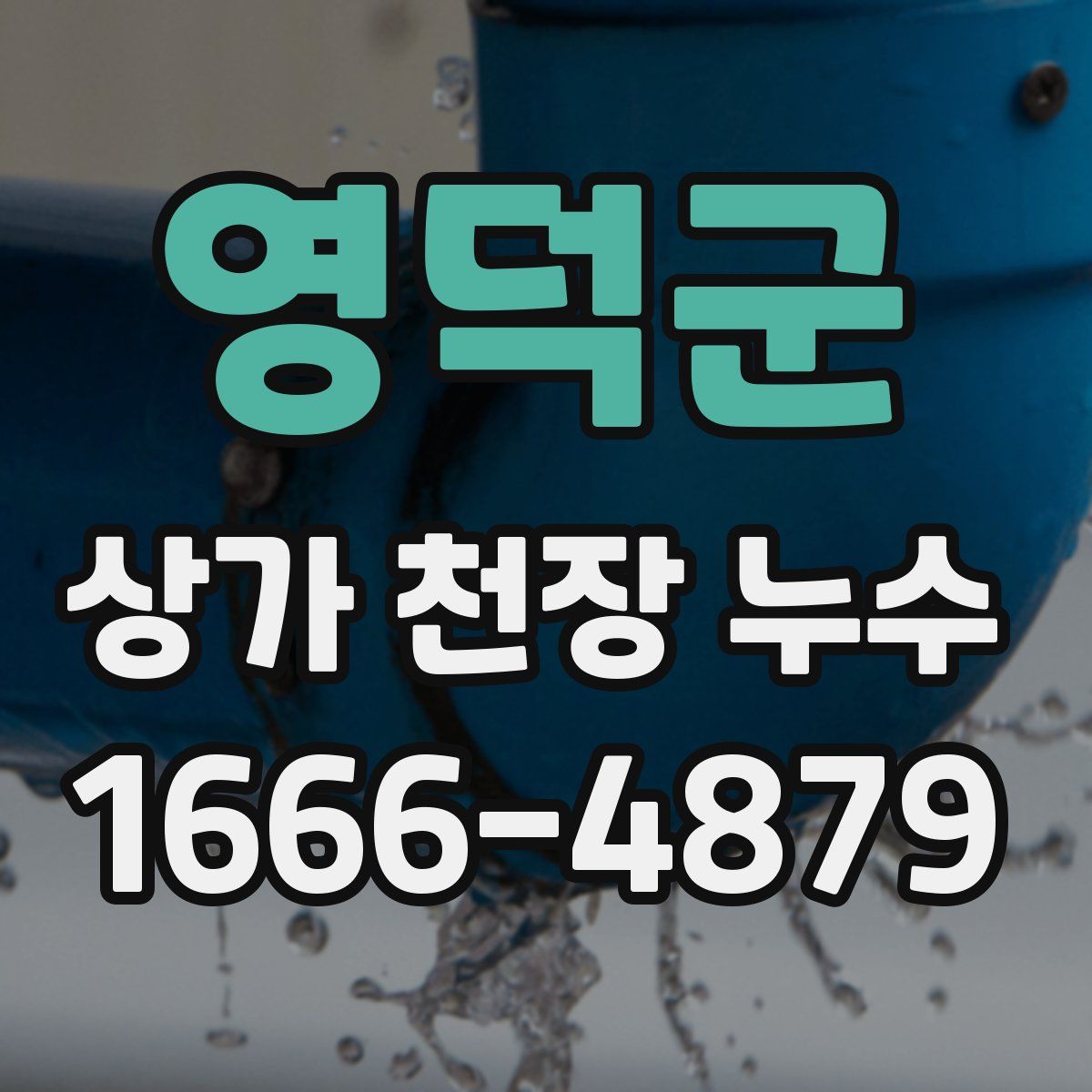 영덕군 상가 천장 누수