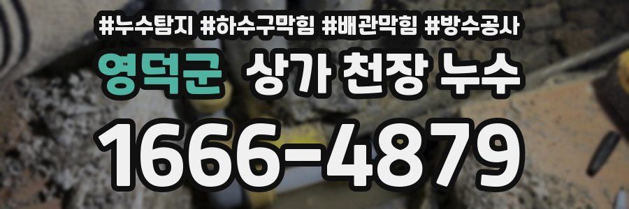 영덕군 상가 천장 누수
