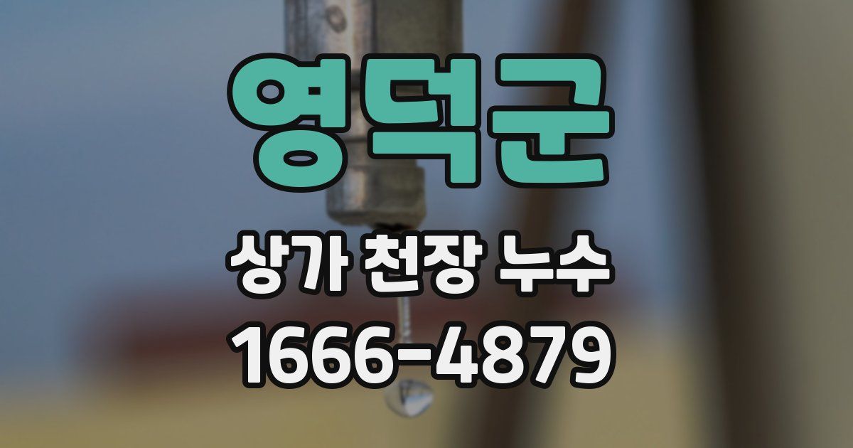 영덕군 상가 천장 누수