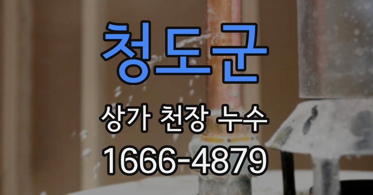 청도군 상가 천장 누수
