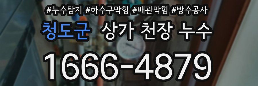 청도군 상가 천장 누수