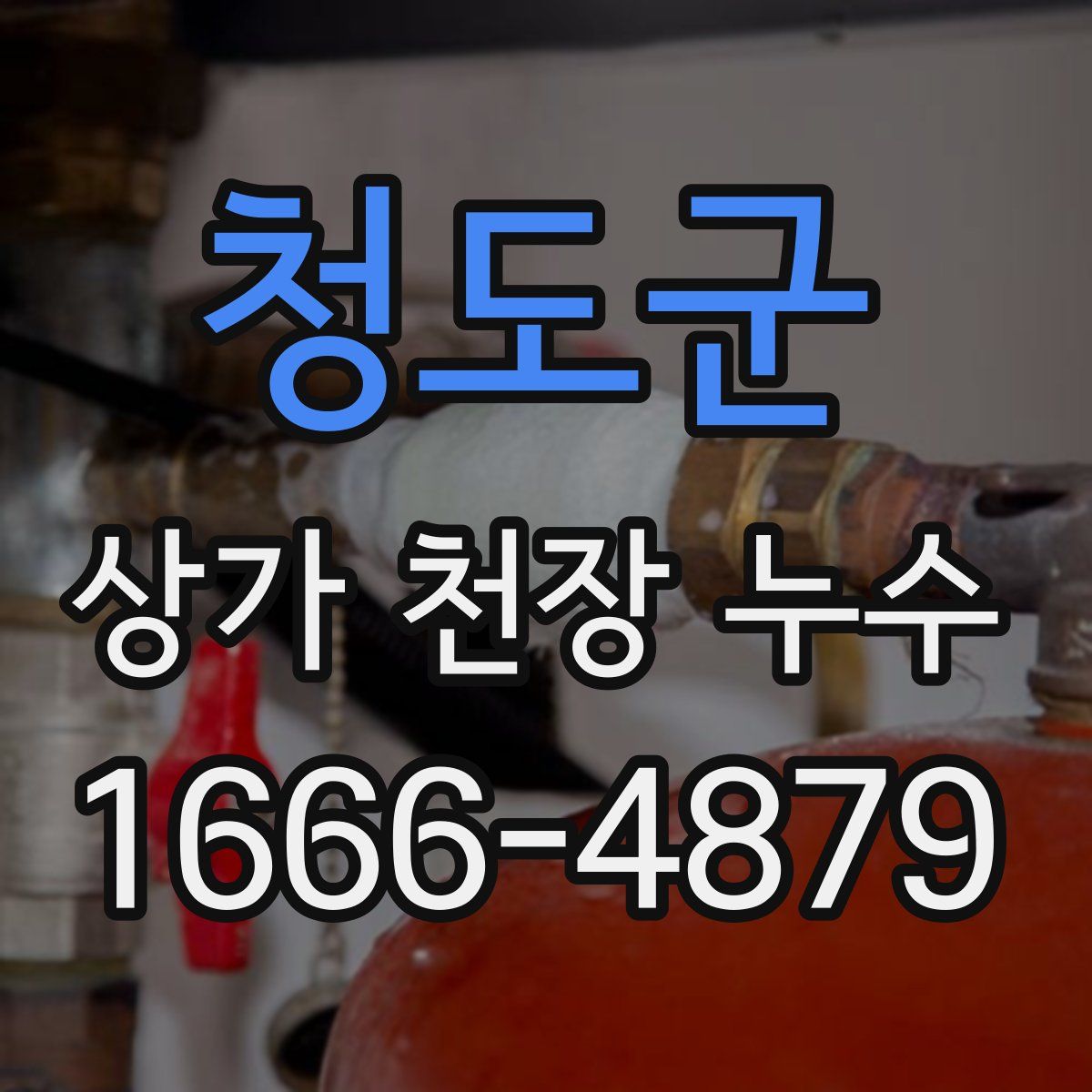 청도군 상가 천장 누수