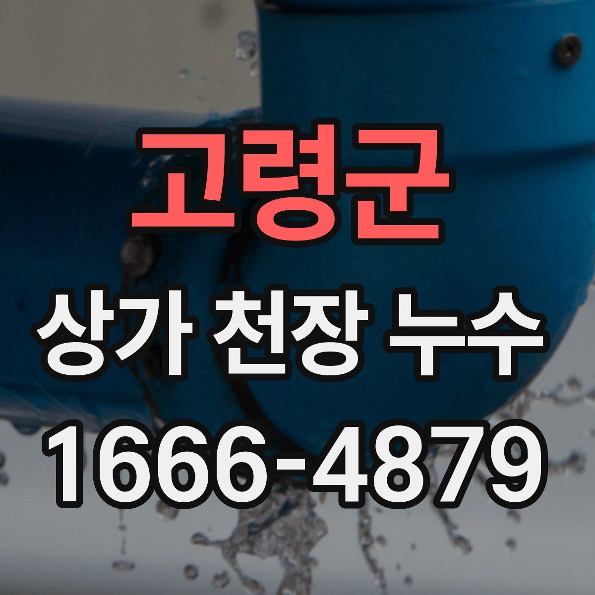 고령군 상가 천장 누수