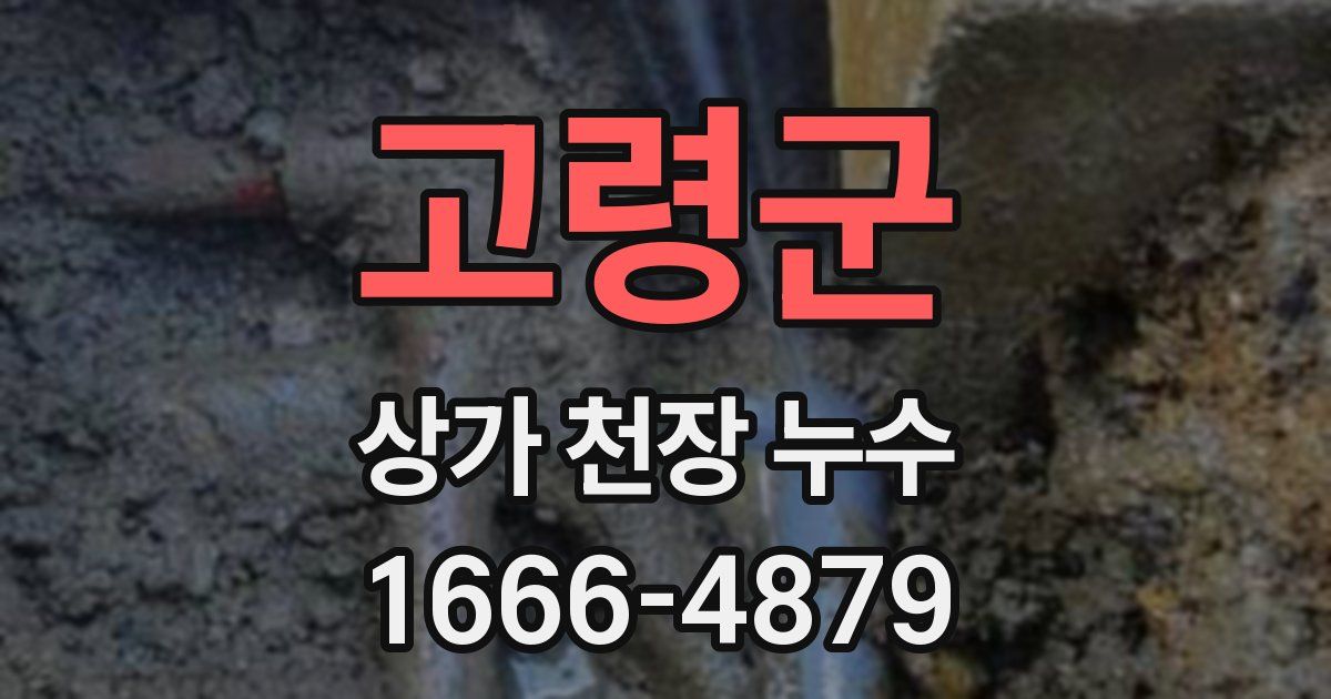 고령군 상가 천장 누수