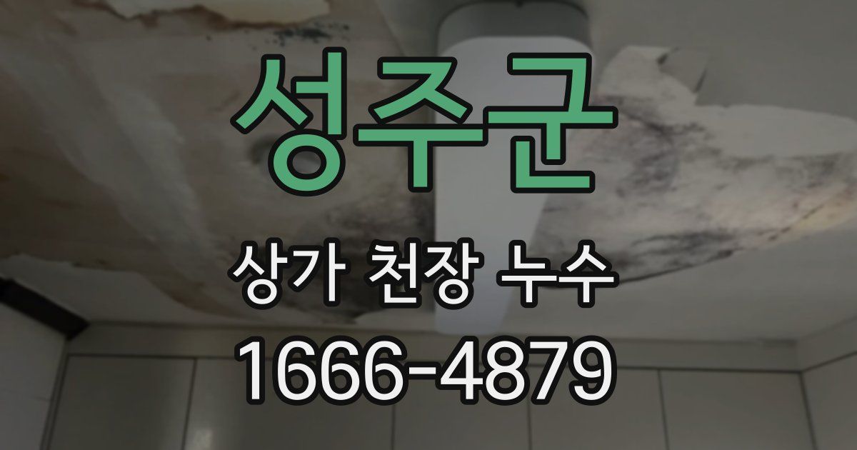 성주군 상가 천장 누수