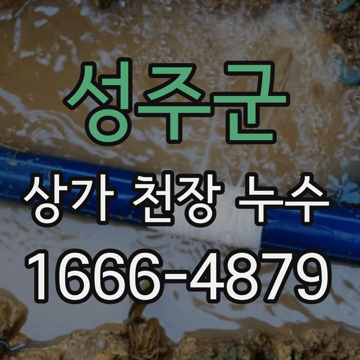 성주군 상가 천장 누수