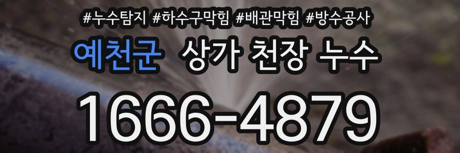 예천군 상가 천장 누수