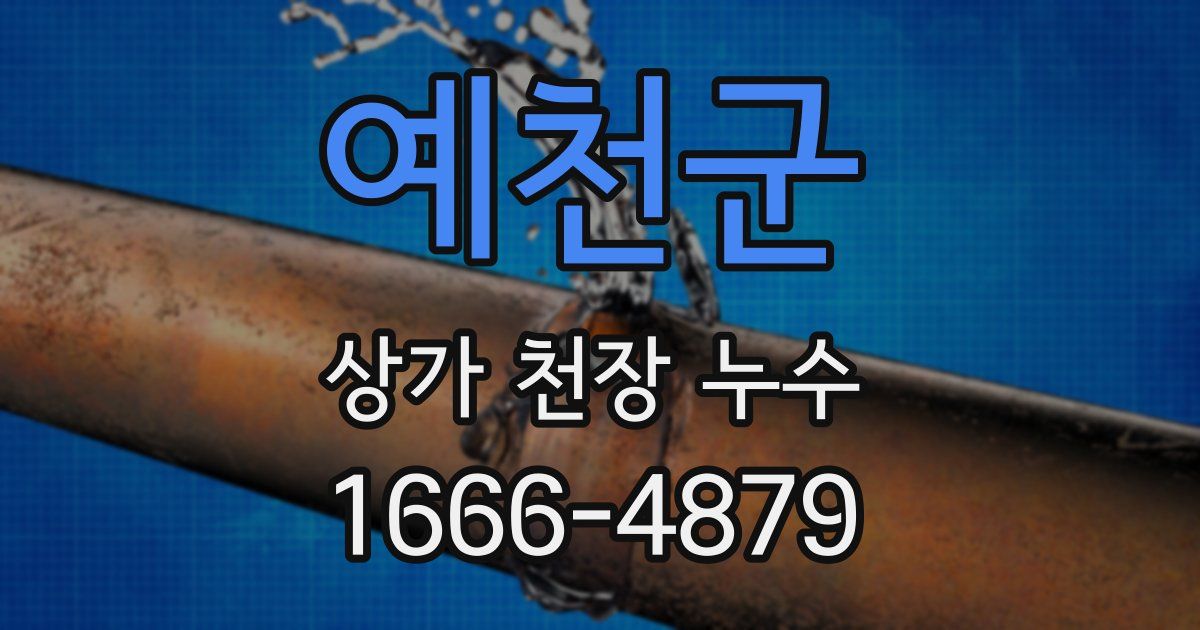 예천군 상가 천장 누수