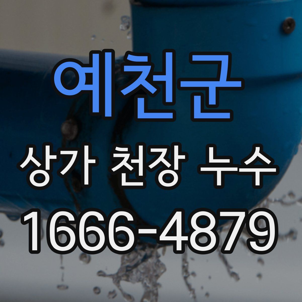 예천군 상가 천장 누수
