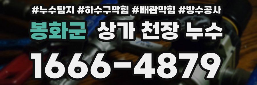봉화군 상가 천장 누수