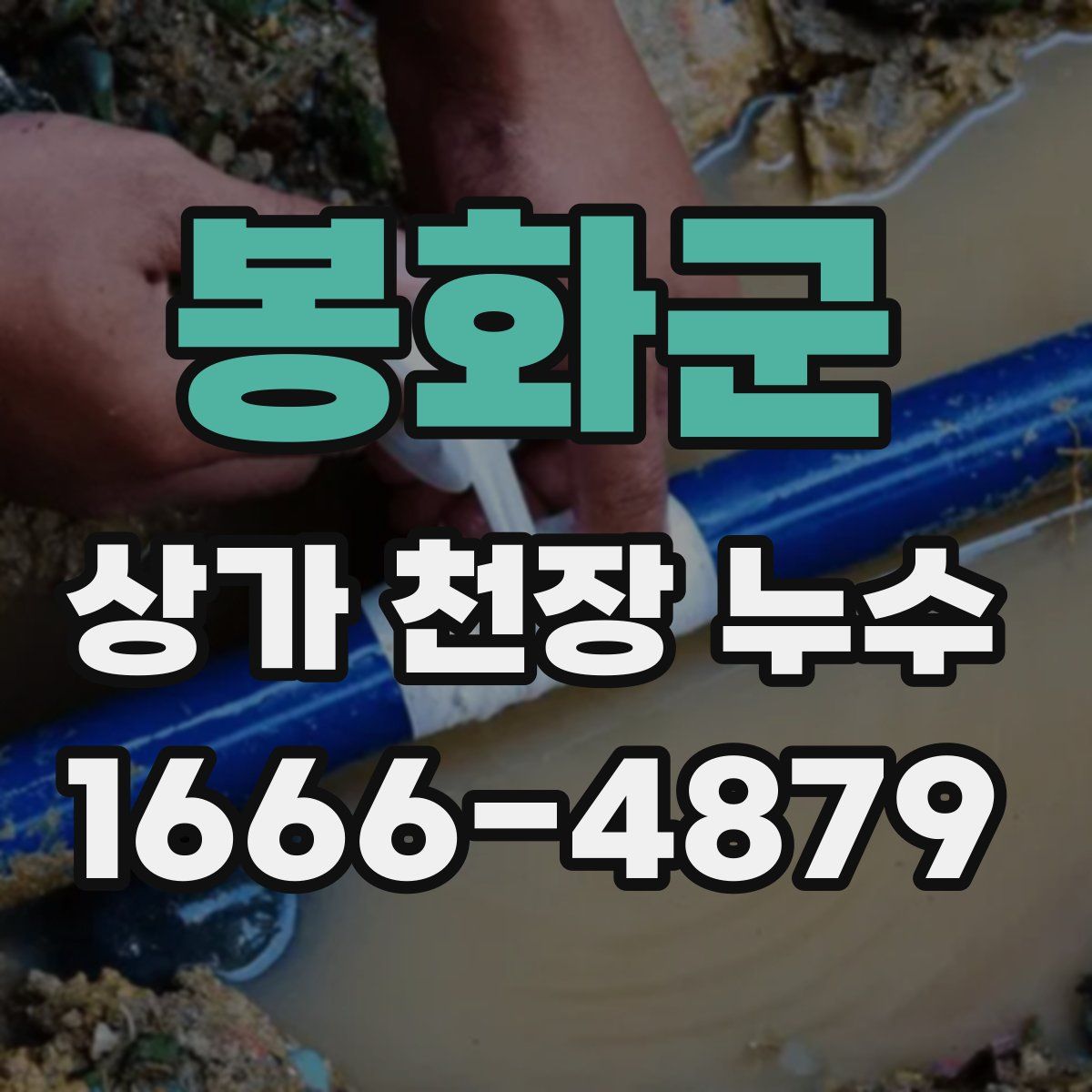 봉화군 상가 천장 누수