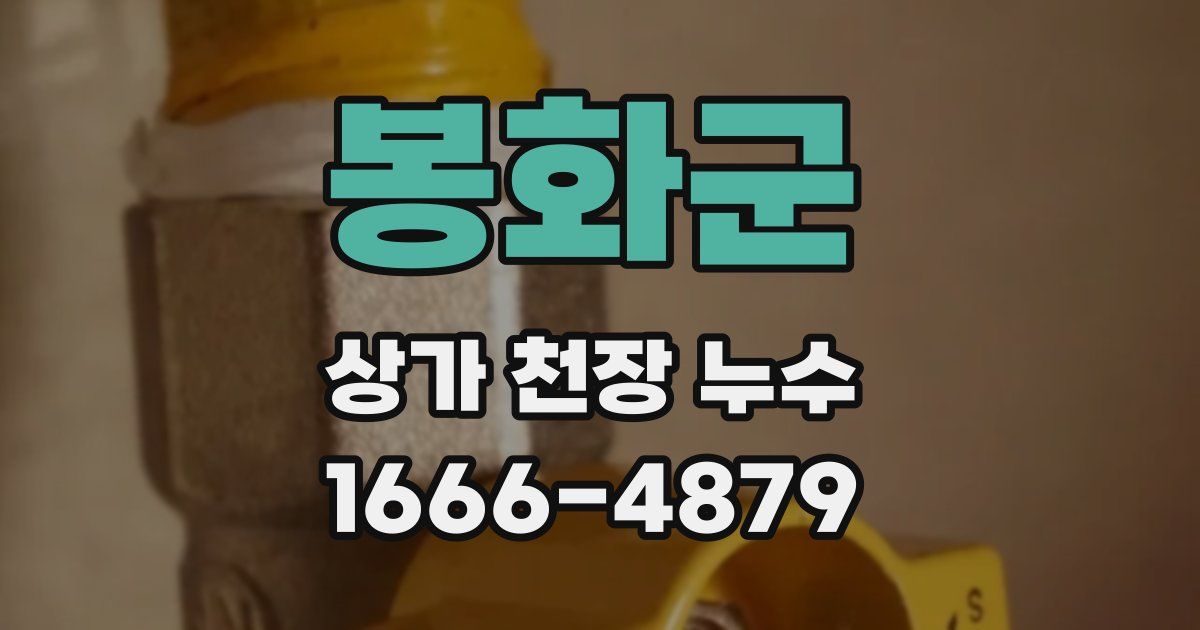 봉화군 상가 천장 누수