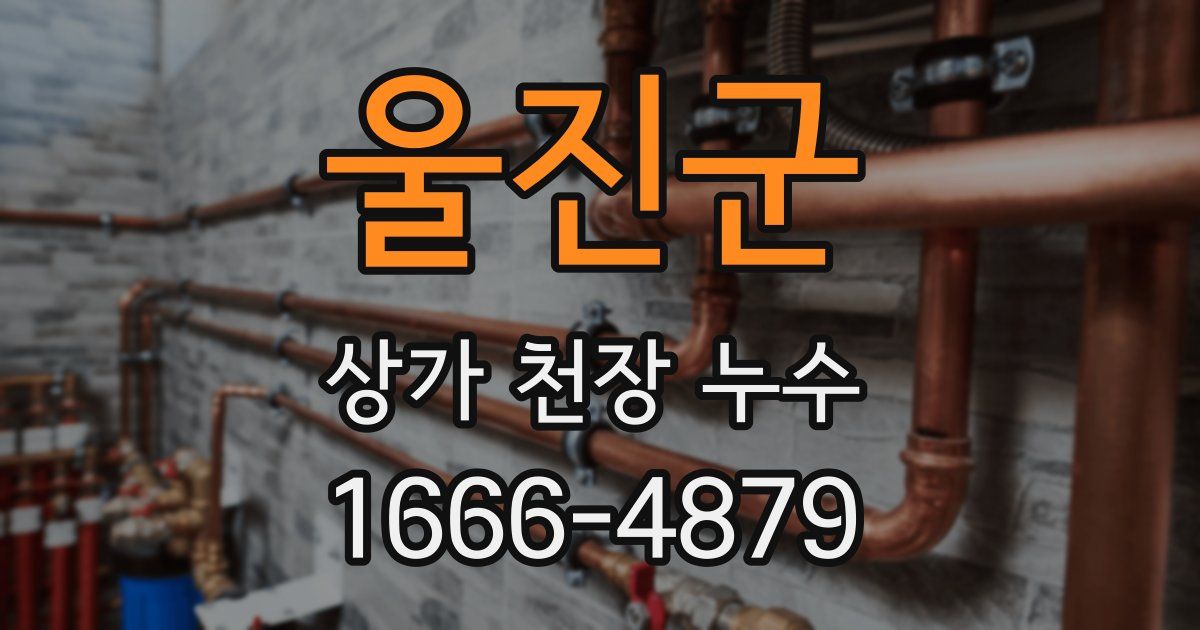 울진군 상가 천장 누수