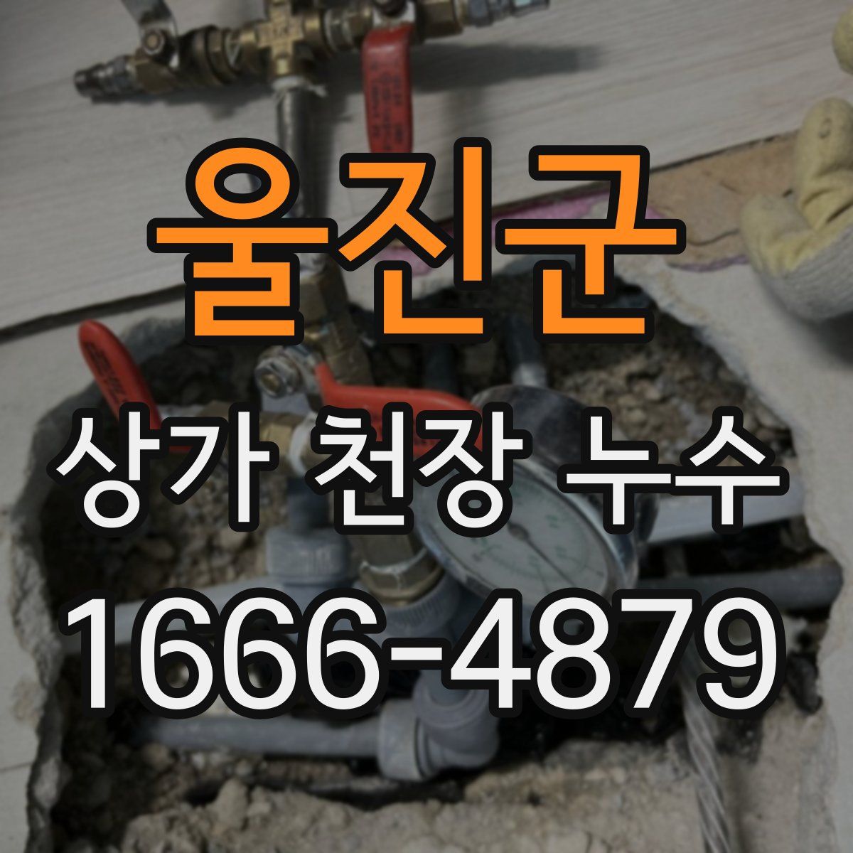 울진군 상가 천장 누수