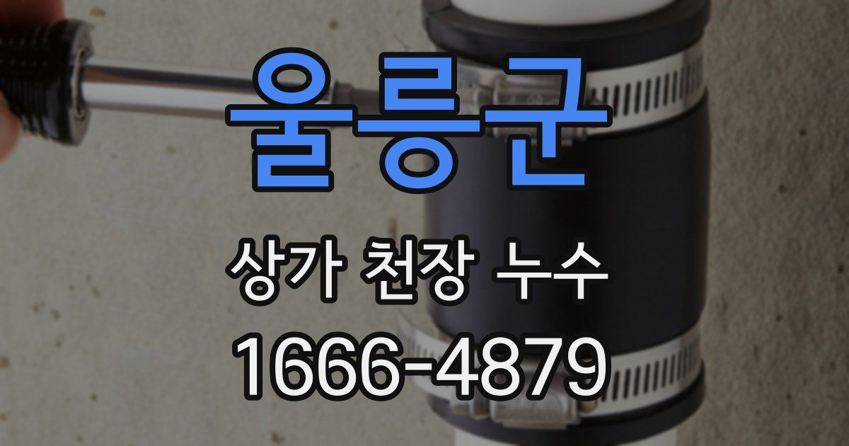 울릉군 상가 천장 누수
