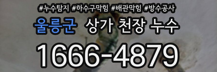 울릉군 상가 천장 누수