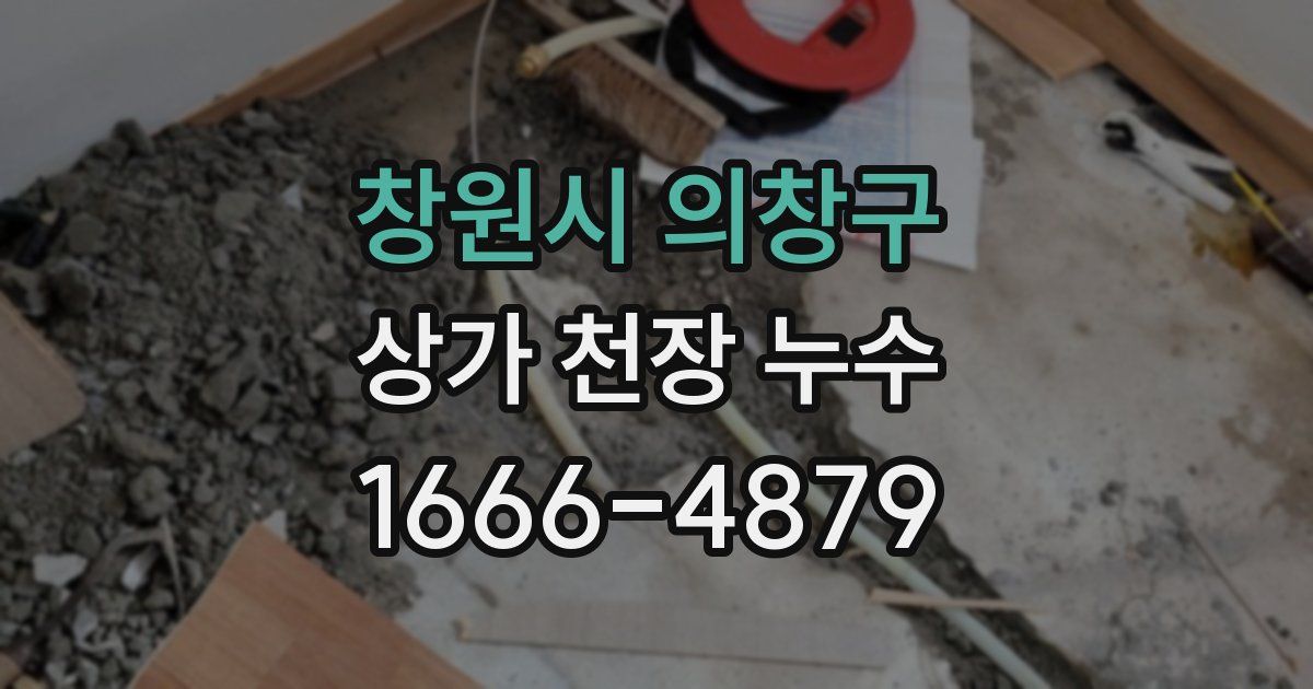 창원시 의창구 상가 천장 누수