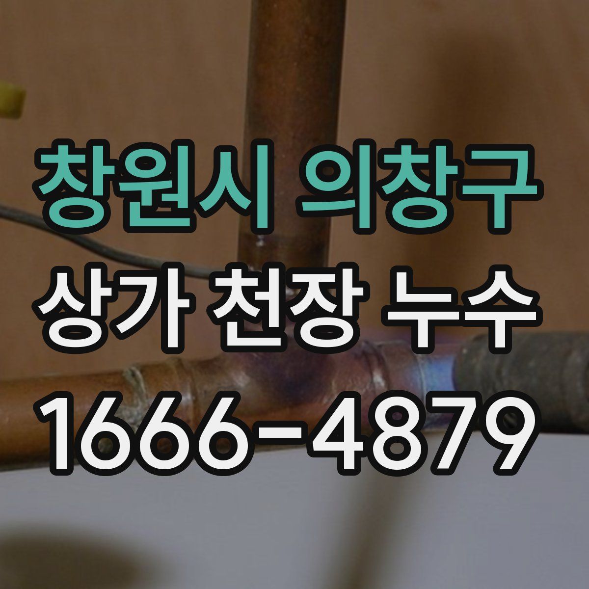 창원시 의창구 상가 천장 누수
