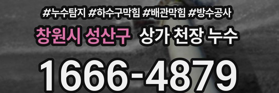 창원시 성산구 상가 천장 누수