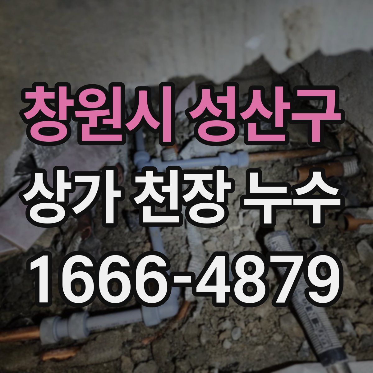 창원시 성산구 상가 천장 누수