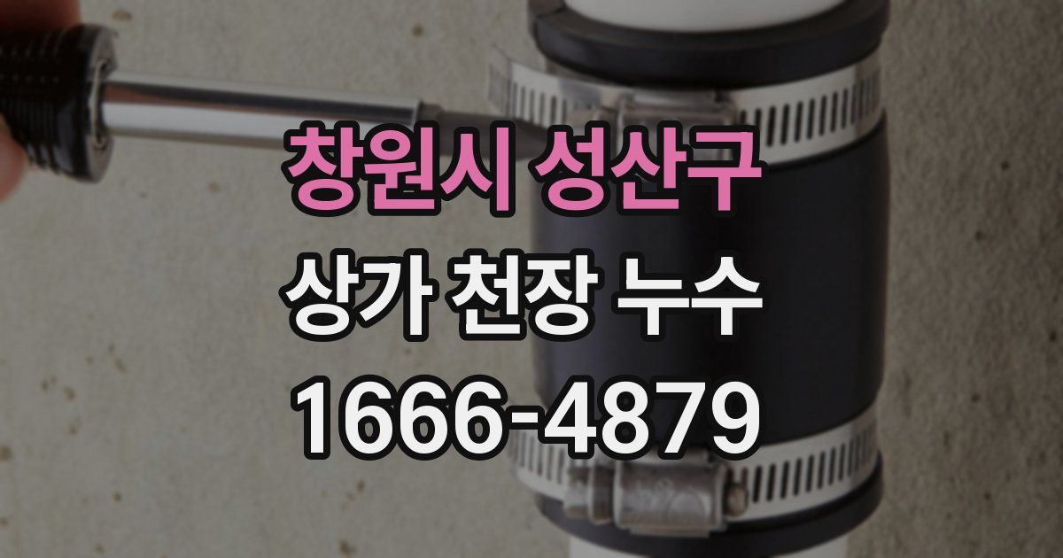 창원시 성산구 상가 천장 누수