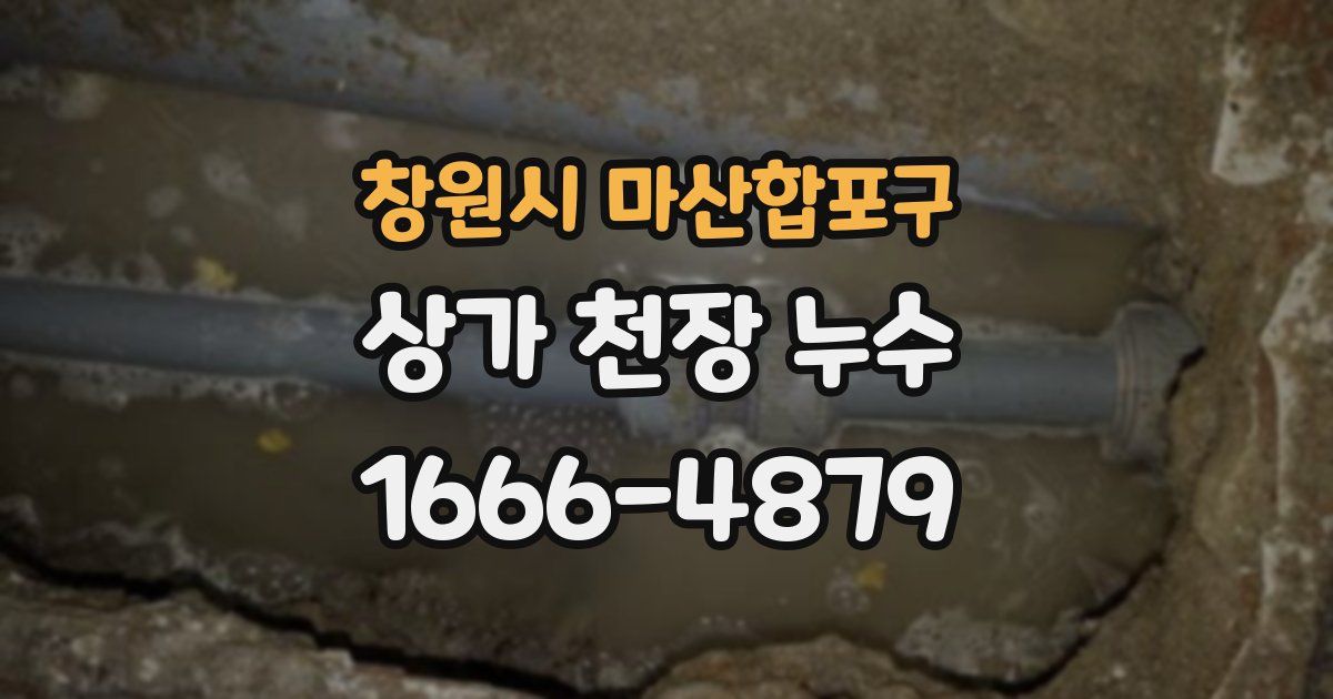창원시 마산합포구 상가 천장 누수