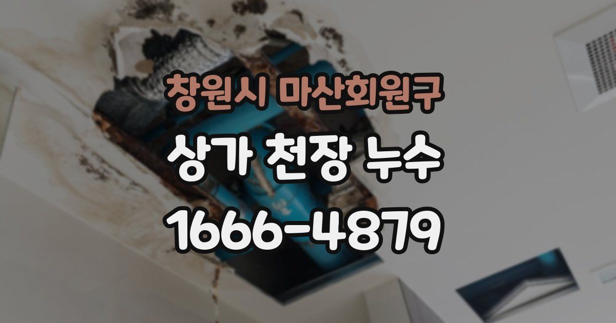 창원시 마산회원구 상가 천장 누수