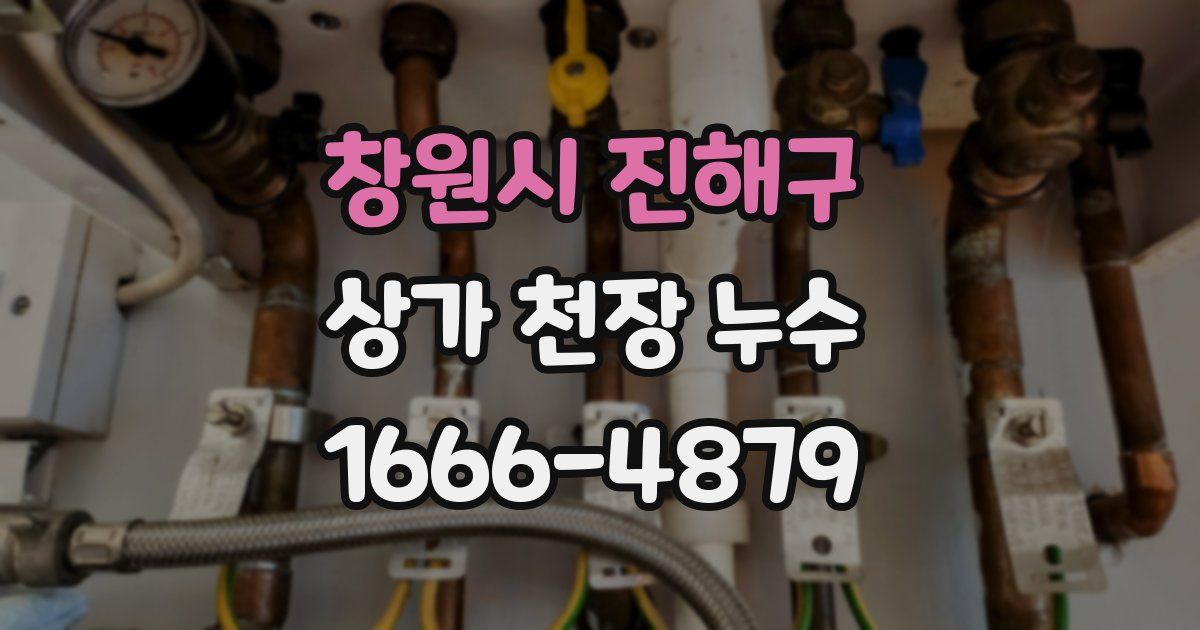 창원시 진해구 상가 천장 누수