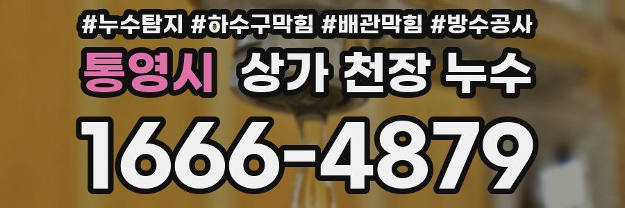 통영시 상가 천장 누수