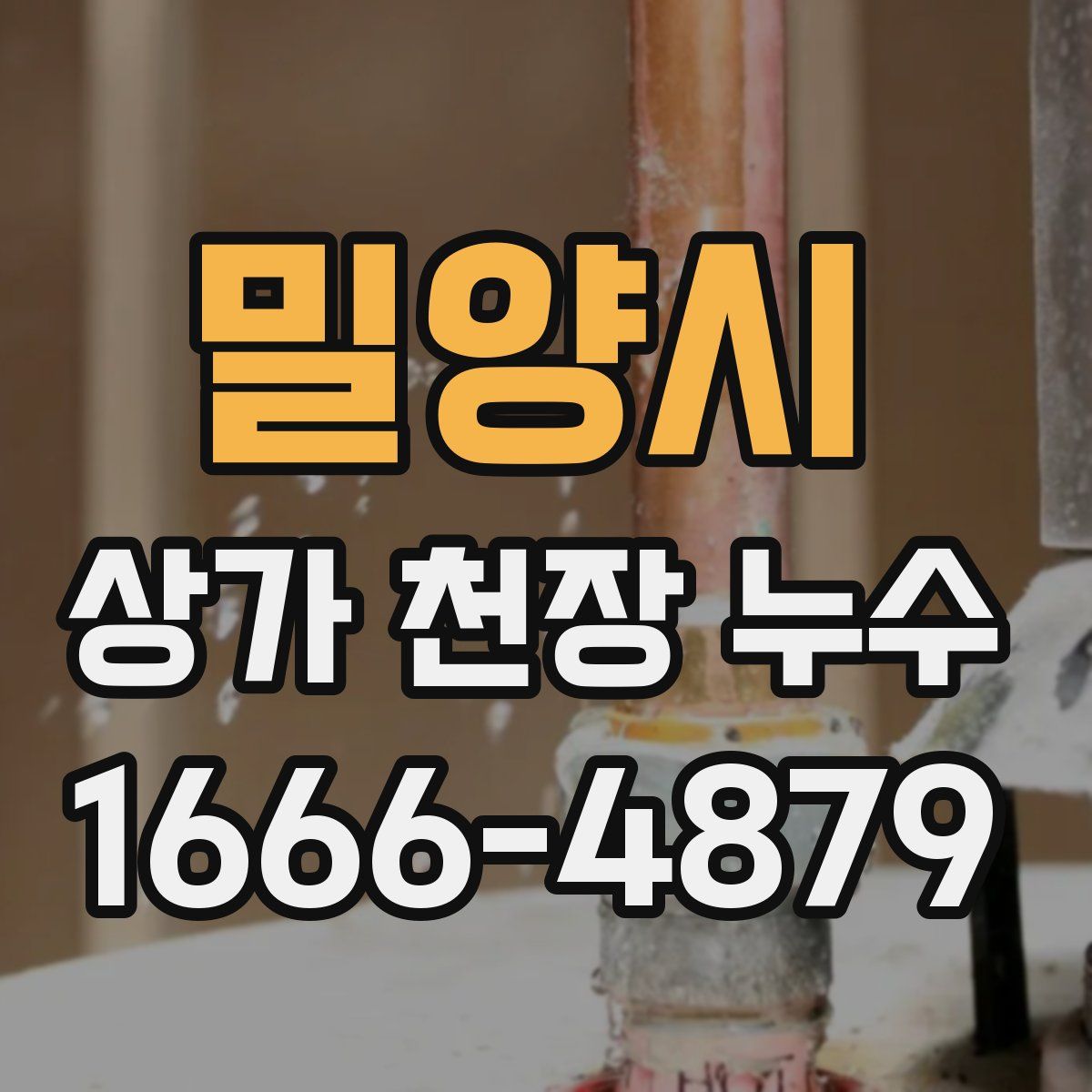 밀양시 상가 천장 누수