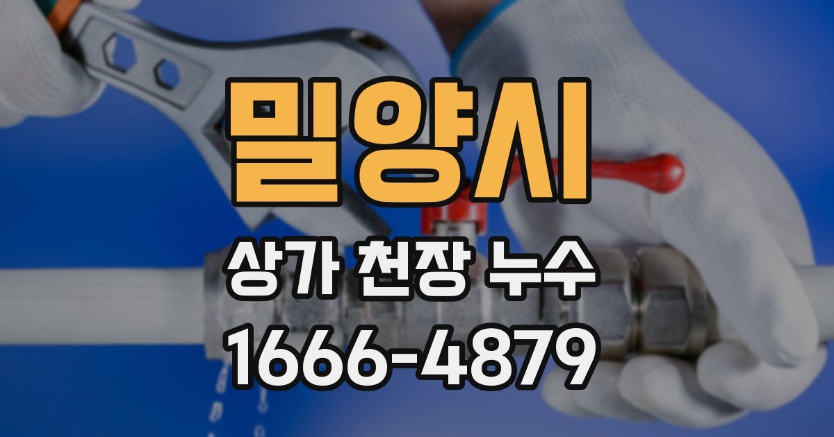 밀양시 상가 천장 누수