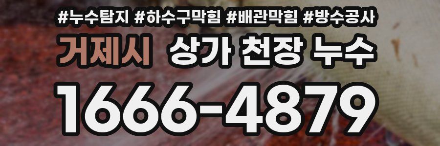 거제시 상가 천장 누수