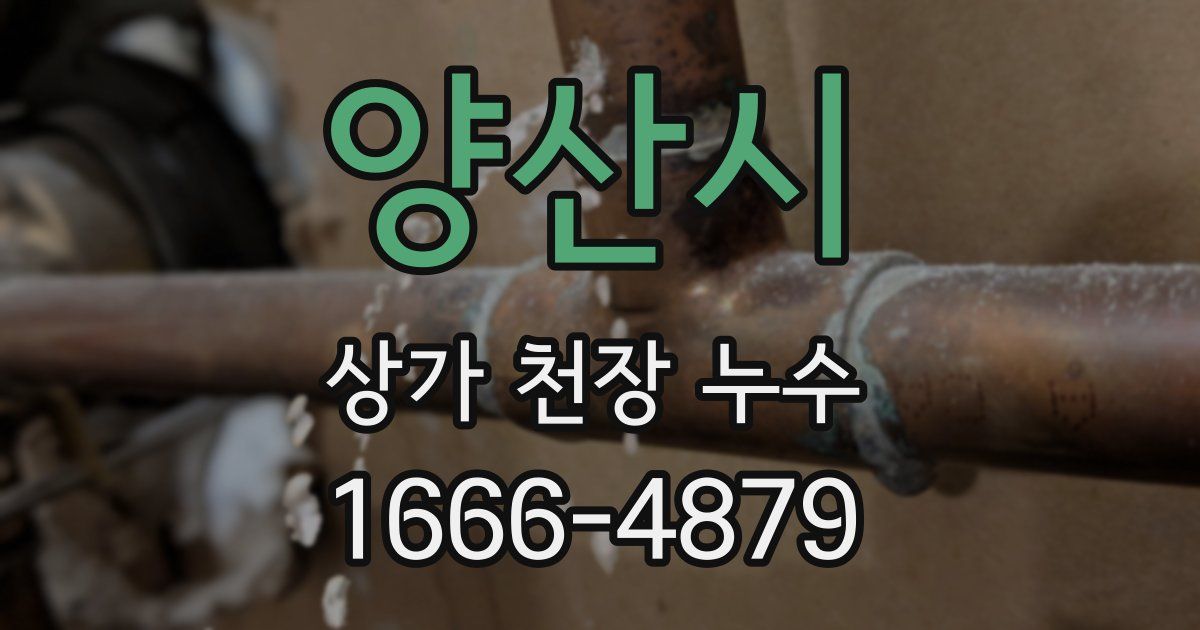 양산시 상가 천장 누수