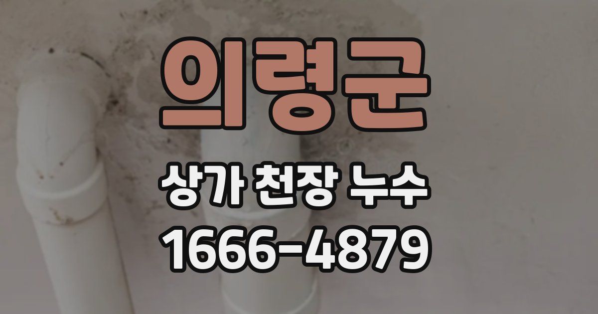 의령군 상가 천장 누수