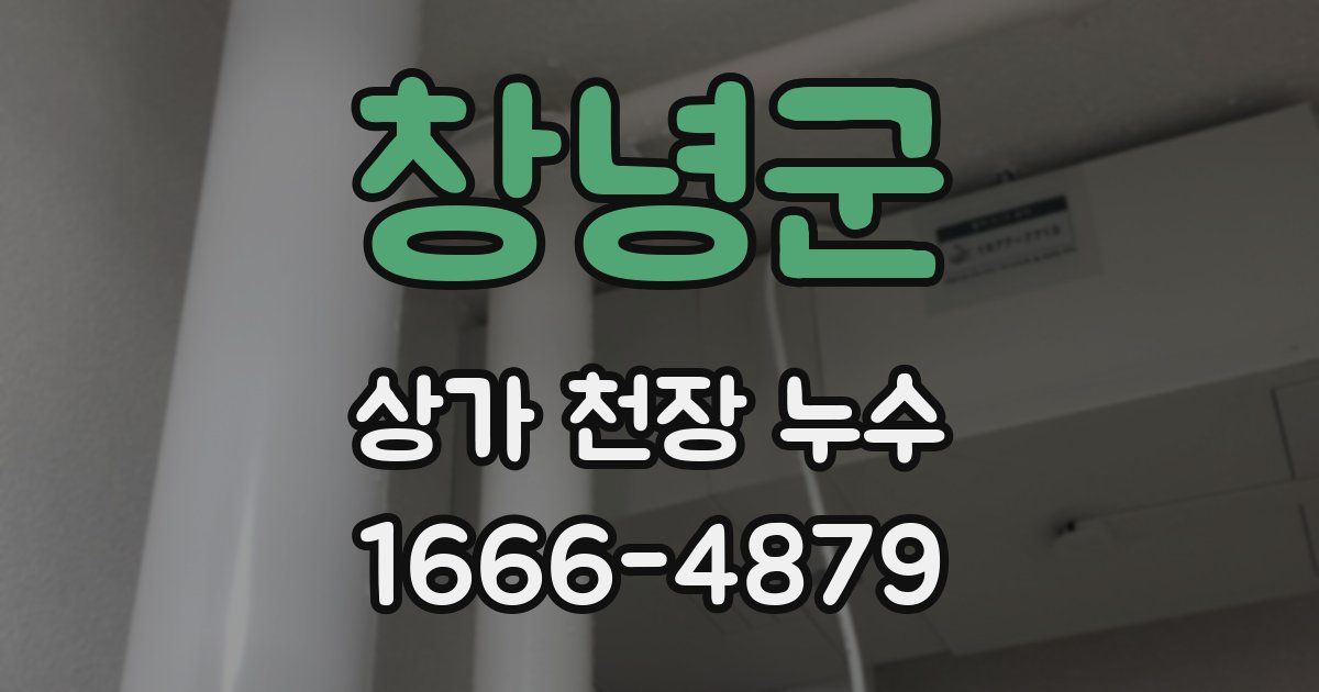 창녕군 상가 천장 누수