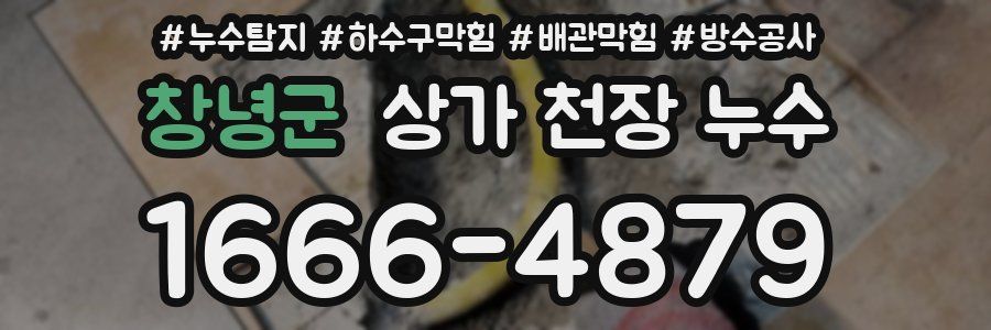 창녕군 상가 천장 누수