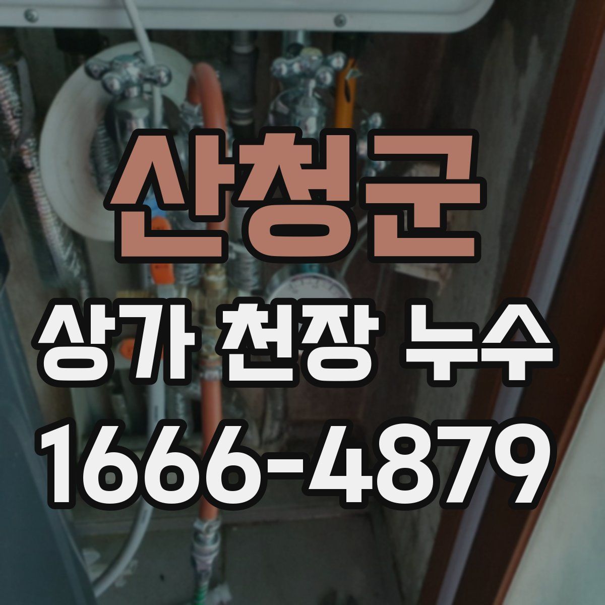 산청군 상가 천장 누수