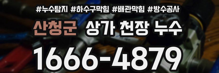 산청군 상가 천장 누수