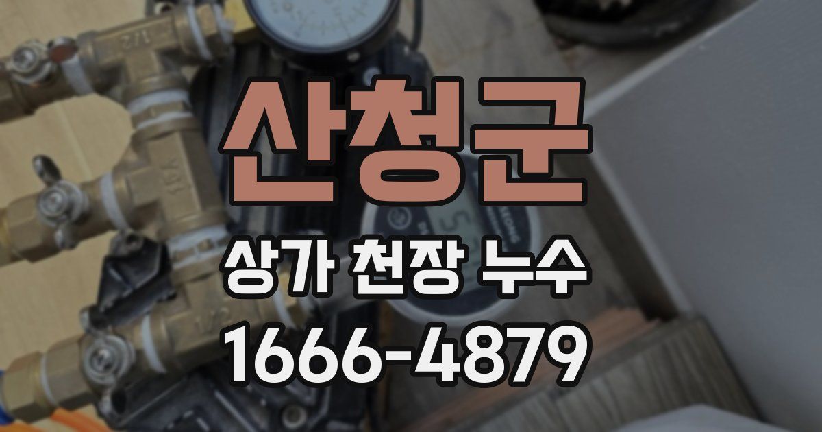산청군 상가 천장 누수