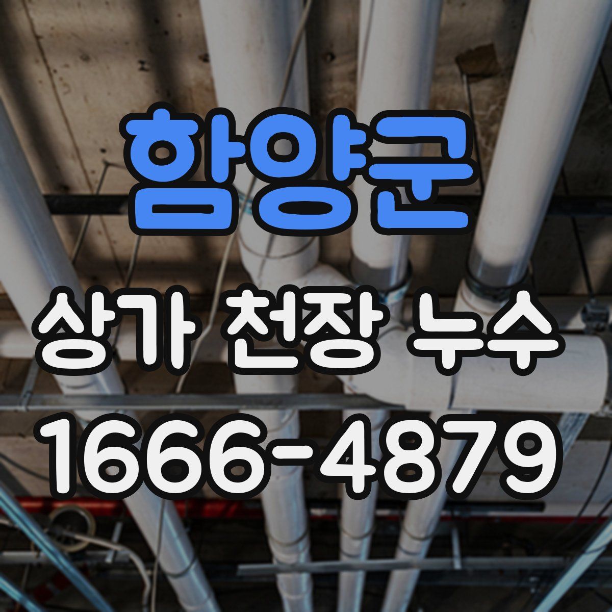 함양군 상가 천장 누수