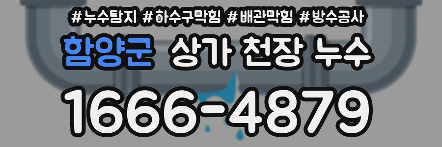 함양군 상가 천장 누수