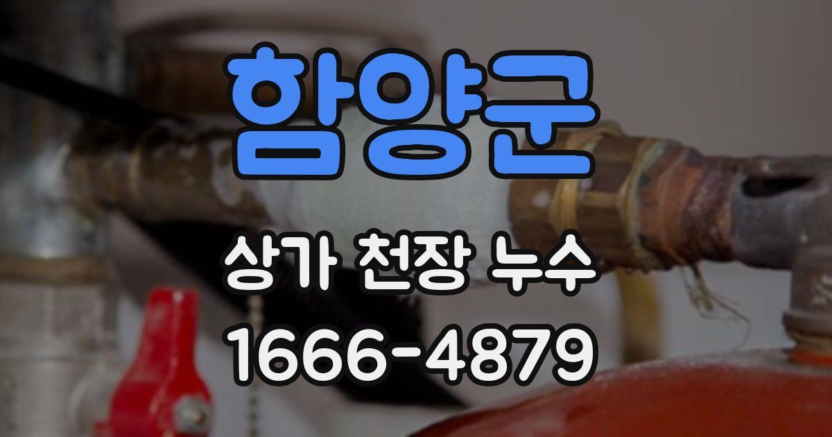 함양군 상가 천장 누수