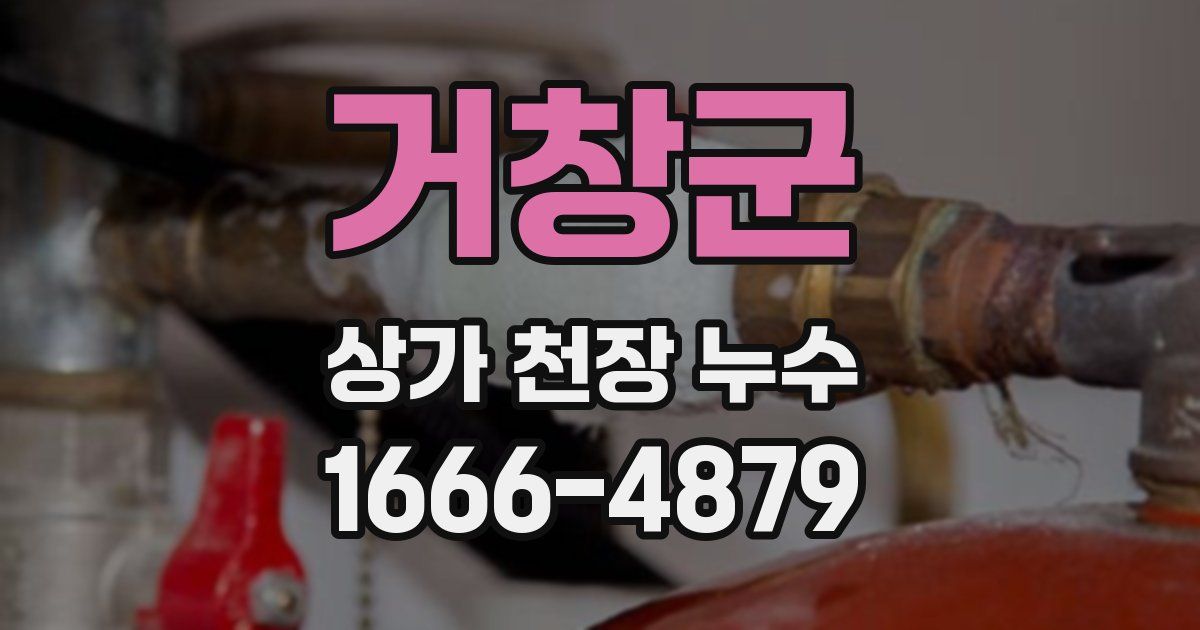 거창군 상가 천장 누수
