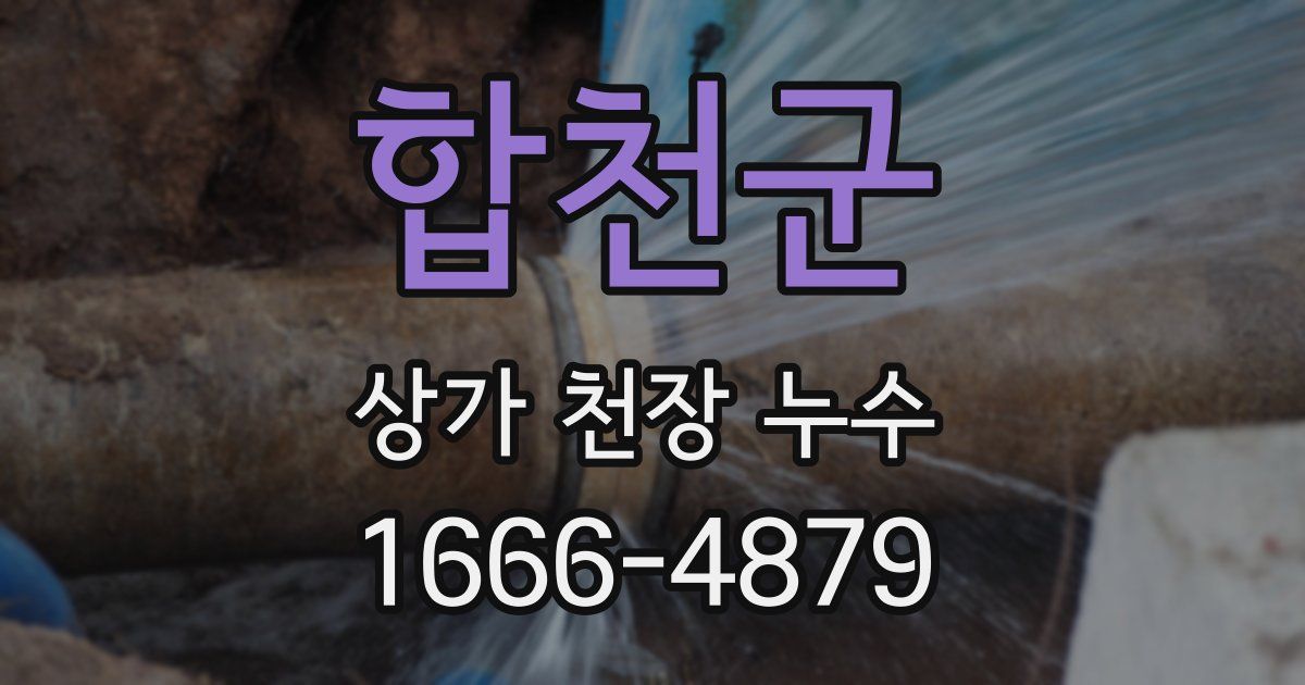 합천군 상가 천장 누수