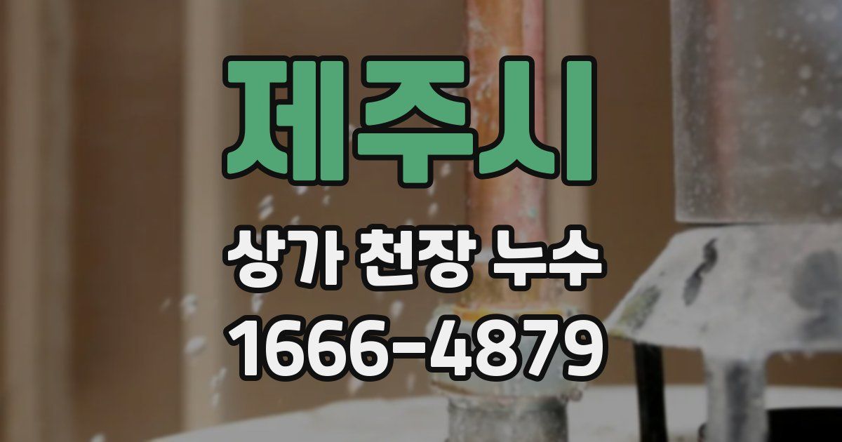 제주시 상가 천장 누수