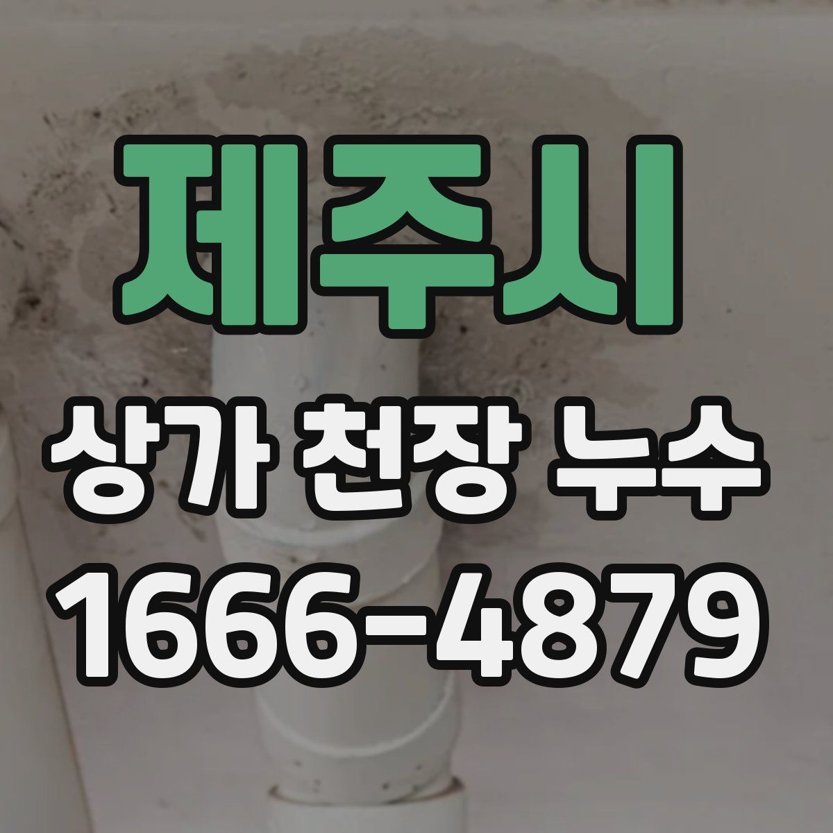 제주시 상가 천장 누수