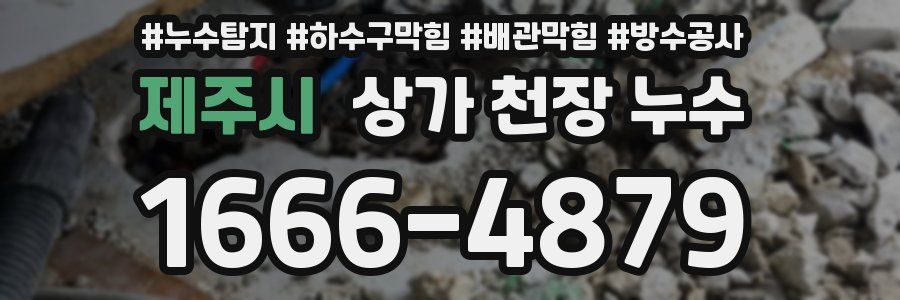 제주시 상가 천장 누수